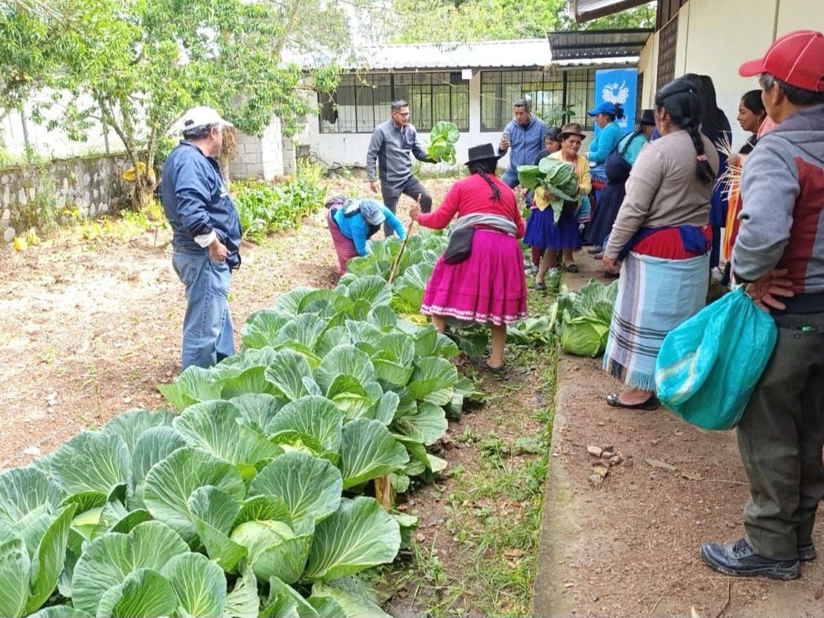 AzuayPrefectura's tweet photo. #ComunidadesPorLaVida 🙌

✅ Llegamos a la parroquia San Juan para compartir con más de 60 beneficiarios un taller de huertos familiares y preparación de nutrientes orgánicos contra plagas, promoviendo una alimentación sana y sostenible. 👩🏼‍🌾👨🏼‍🌾 https://t.co/y1pIhw0r5Z