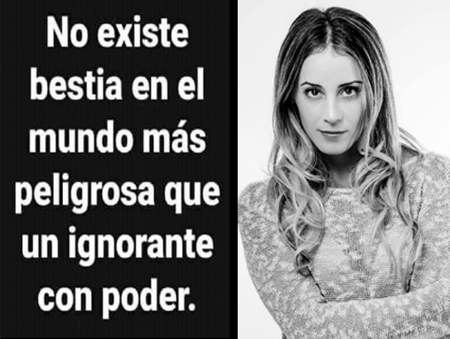 🌳Mukhallis🌳 tweet media