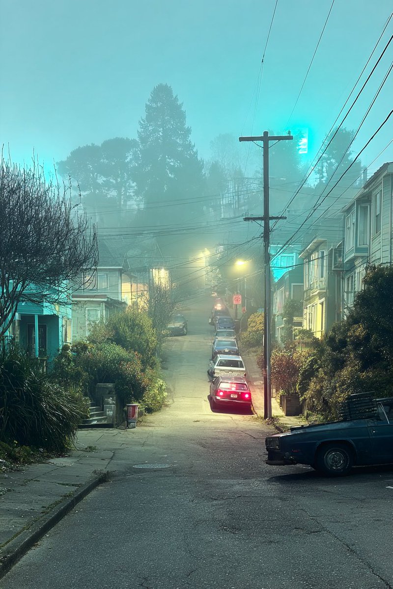 A Road To Holly Park, San Francisco 2046