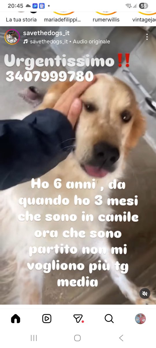 Annina🇮🇹 (@annina_cutillo) on Twitter photo 