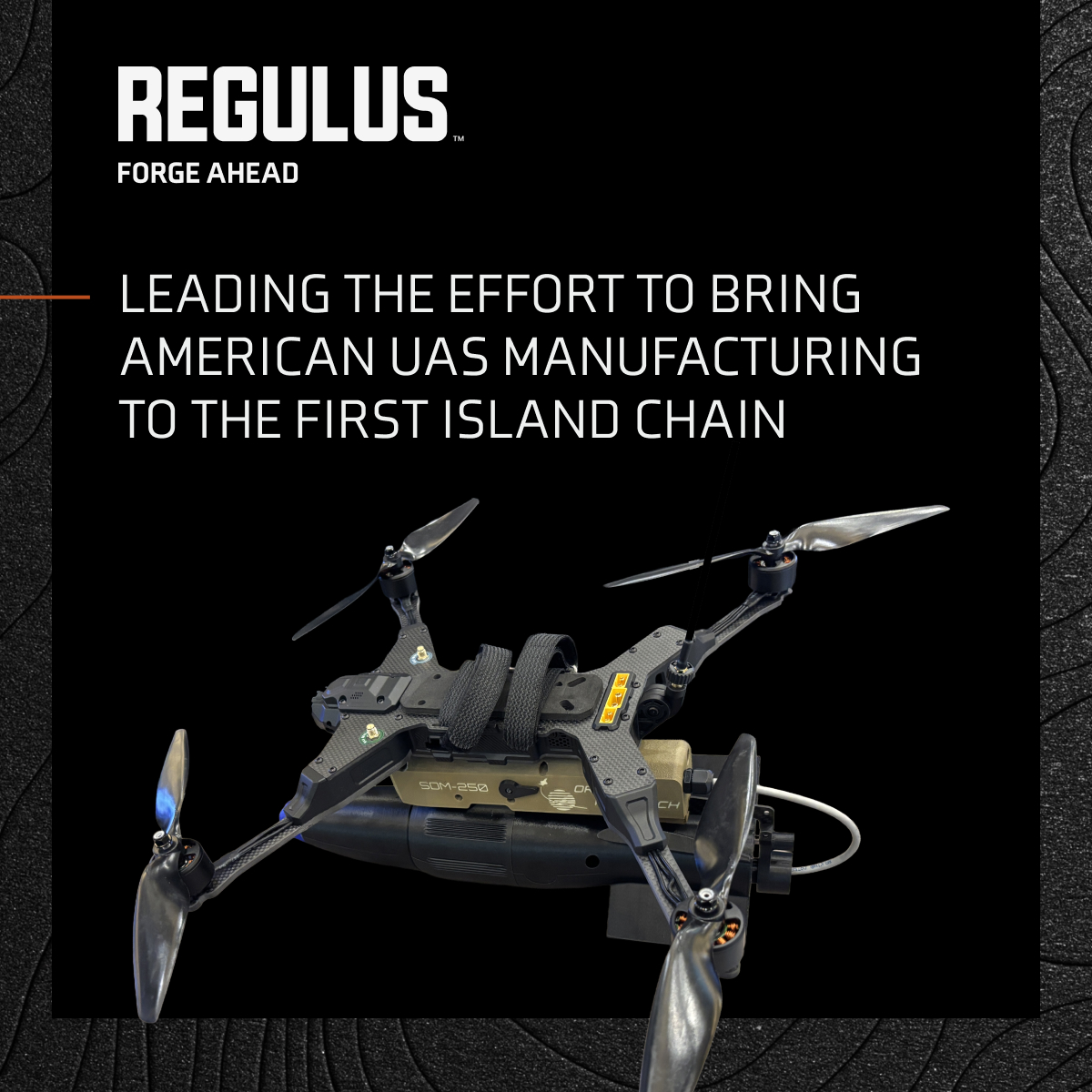 Home - Regulus Global