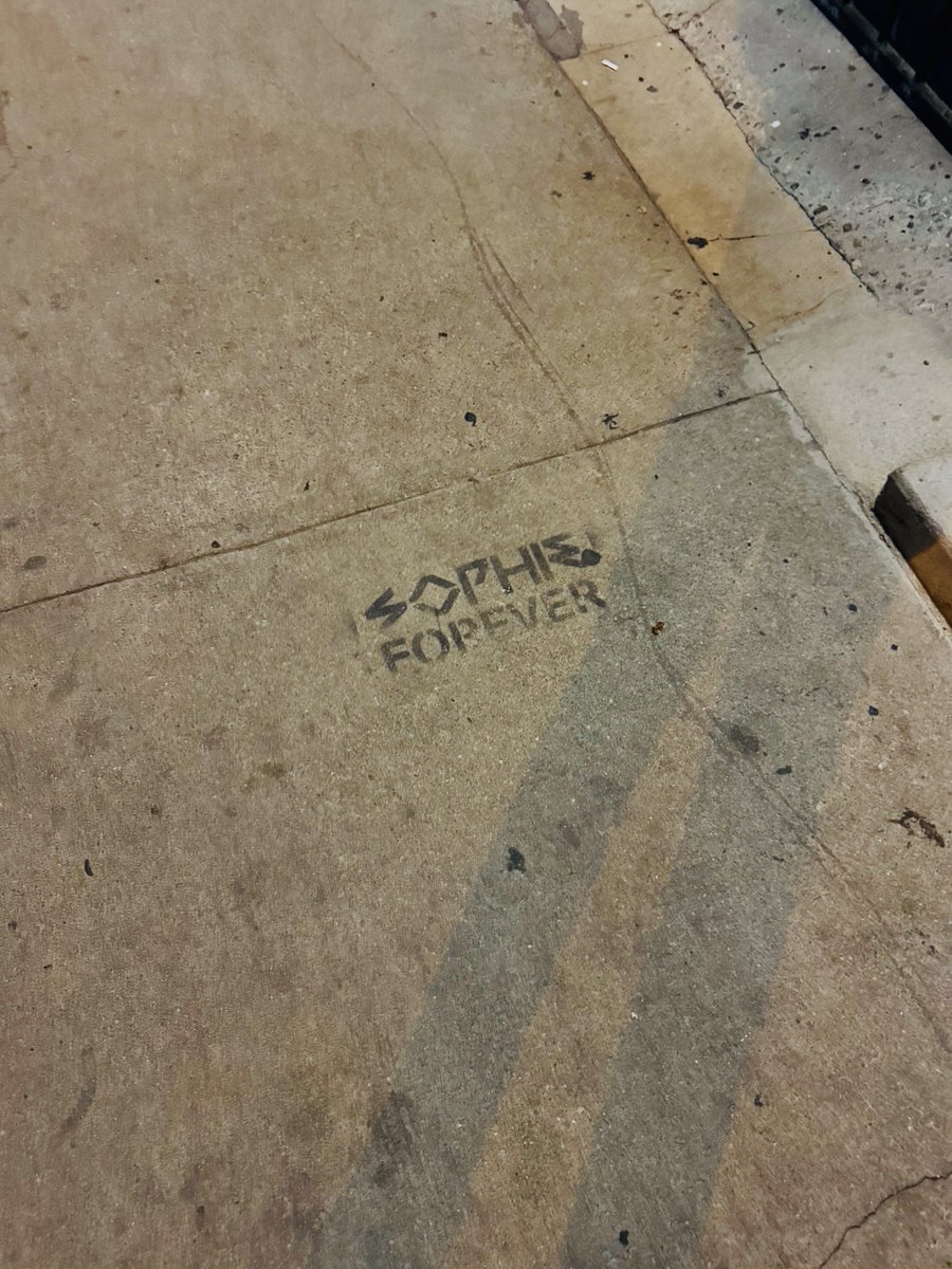 NOT A DAY GOES BY WHEN WE DON’T THINK OF YOU. MISS YOU AND LOVE YOU ALWAYS #SOPHIEFOREVER 💖💖💖🕊️🕊️🕊️ ⁦<a href="/SOPHIEMSMSMSM/">SOPHIE</a>⁩