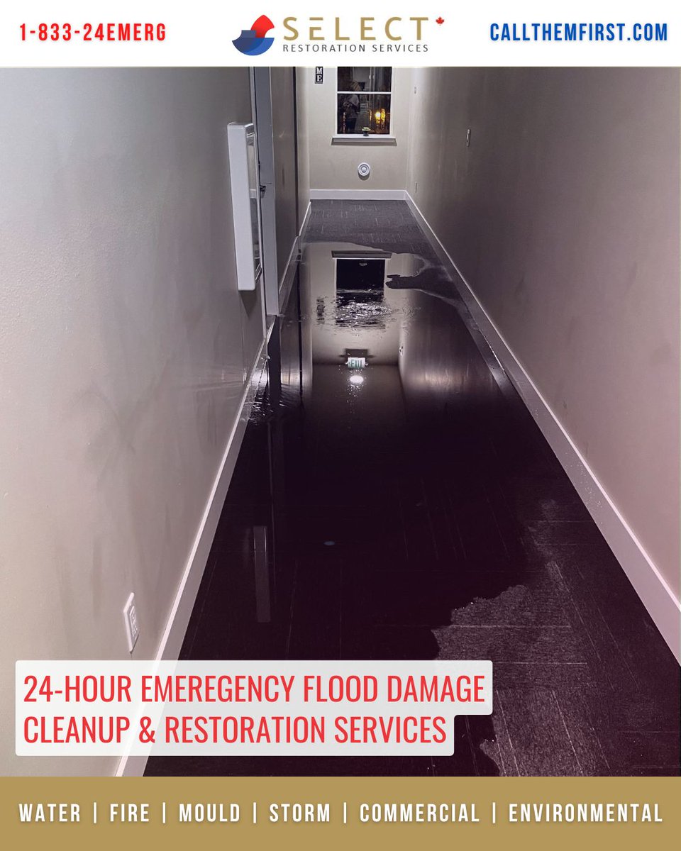 SELECT Restoration Services 🇨🇦 tweet media