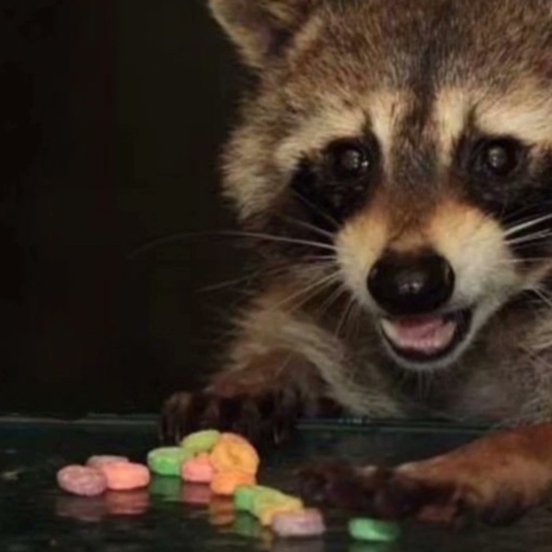 Some of my mutuals interested in getting a eye banner? It's totally free I just need some examples for my updated eye banners!!
If interested you can leave your png down below and maybe pm me so I know where I can contact you for updates/finished piece!