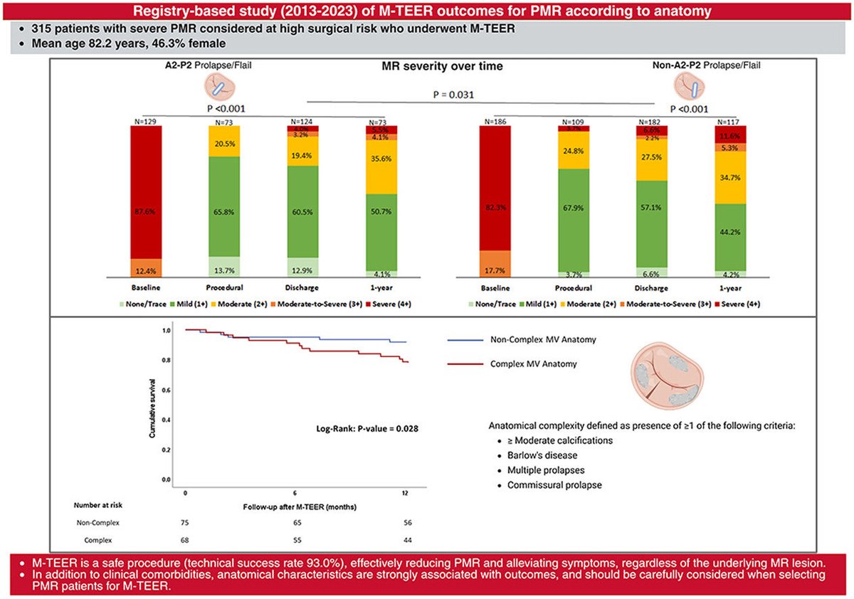 DaryoushSamim's tweet photo. In our 10-year prospective study of PMR patients undergoing M-TEER, MV anatomical characteristics significantly influenced symptomatic improvement &amp; 1-year all-cause mortality. These features should be carefully considered for patient selection. Checkout👇🏽
https://t.co/9Vk1jhQaSM https://t.co/5UCtdz7ygf