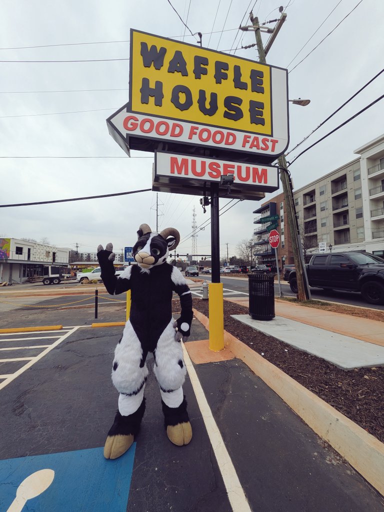 Envy! 🐏🔜 MFF tweet media