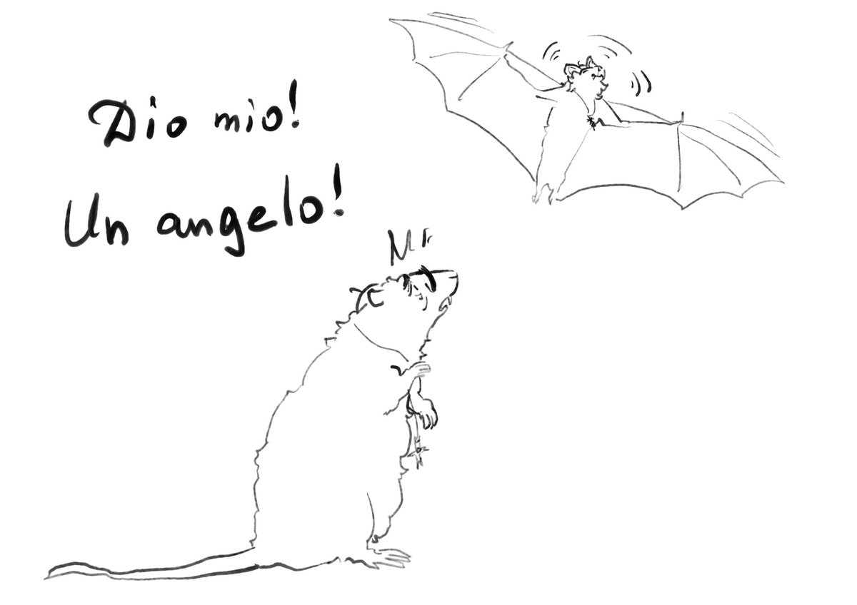 Реквест из тгк
Летучая мыш это Винсент