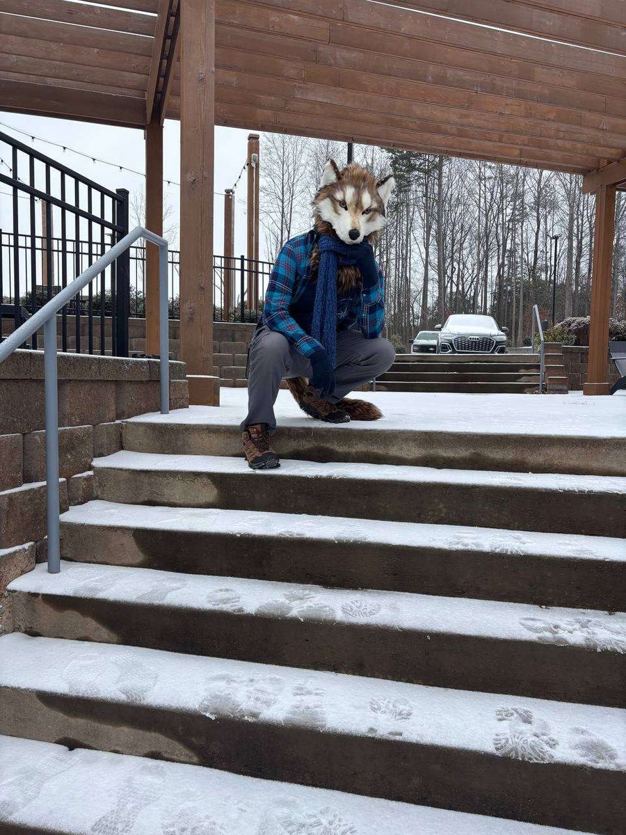 Wolf's aught to tread carefully in these icy conditions! 🐺🧊
📸<a href="/LexingtonHx/">Nighthawk_Wolf</a>
#fursuitfriday #NCwx
