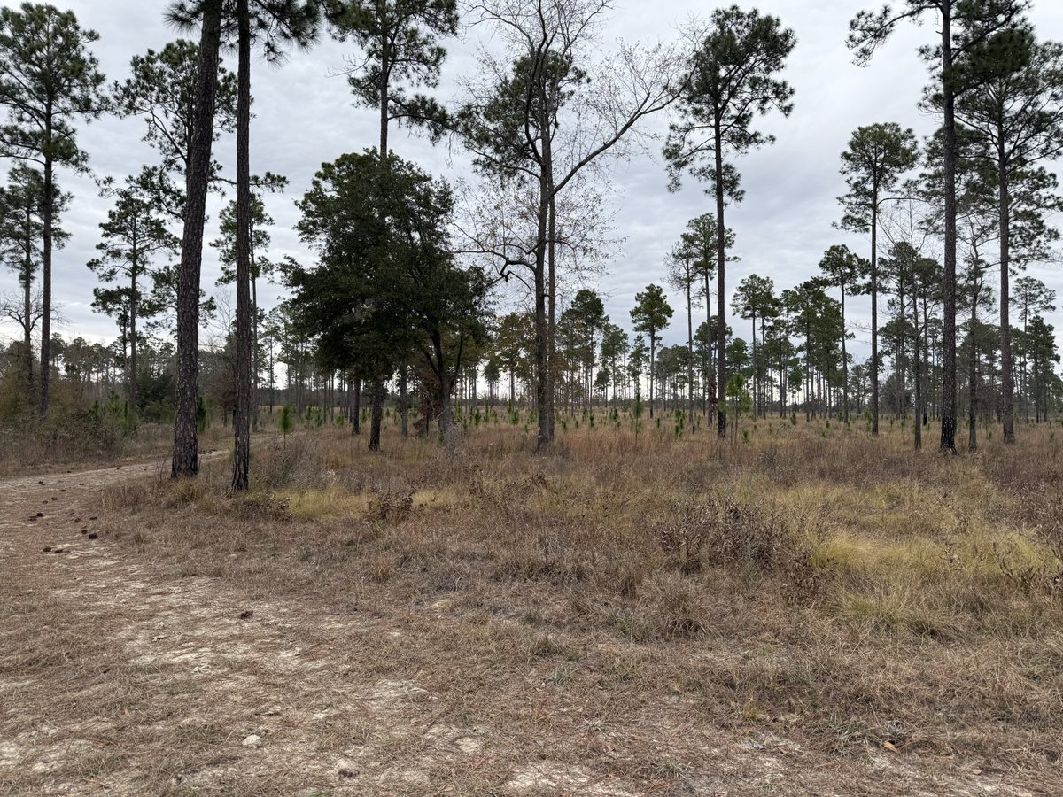 Alister WokeKenzie- #1 Ranked GCA Burner Account tweet media