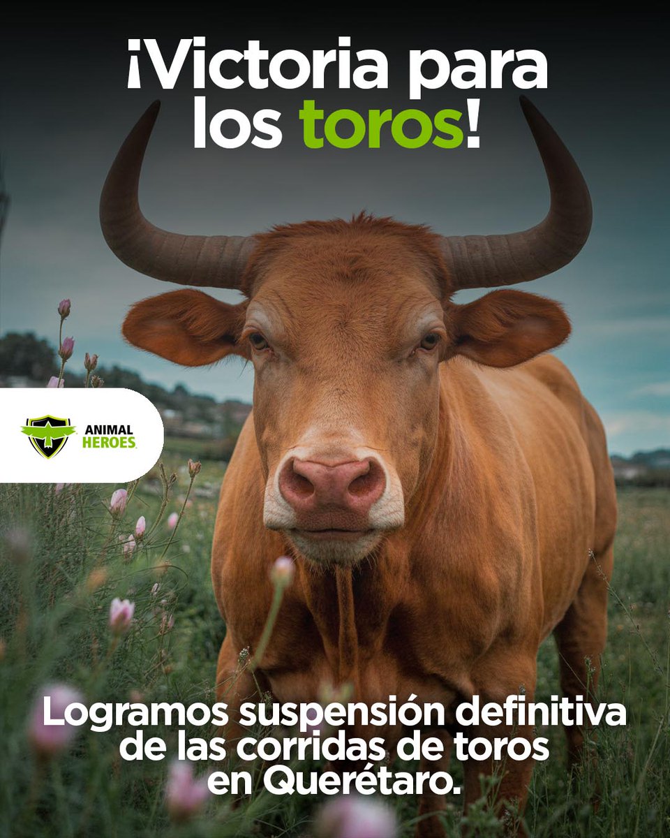 Animal Heroes tweet media