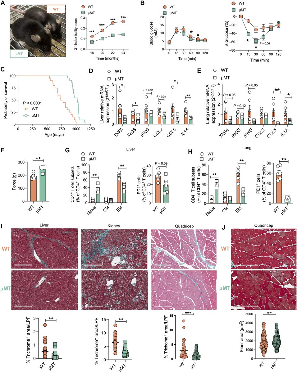 Waggoner Lab tweet media