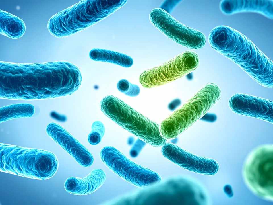 Prensa Agro Chile ® tweet media