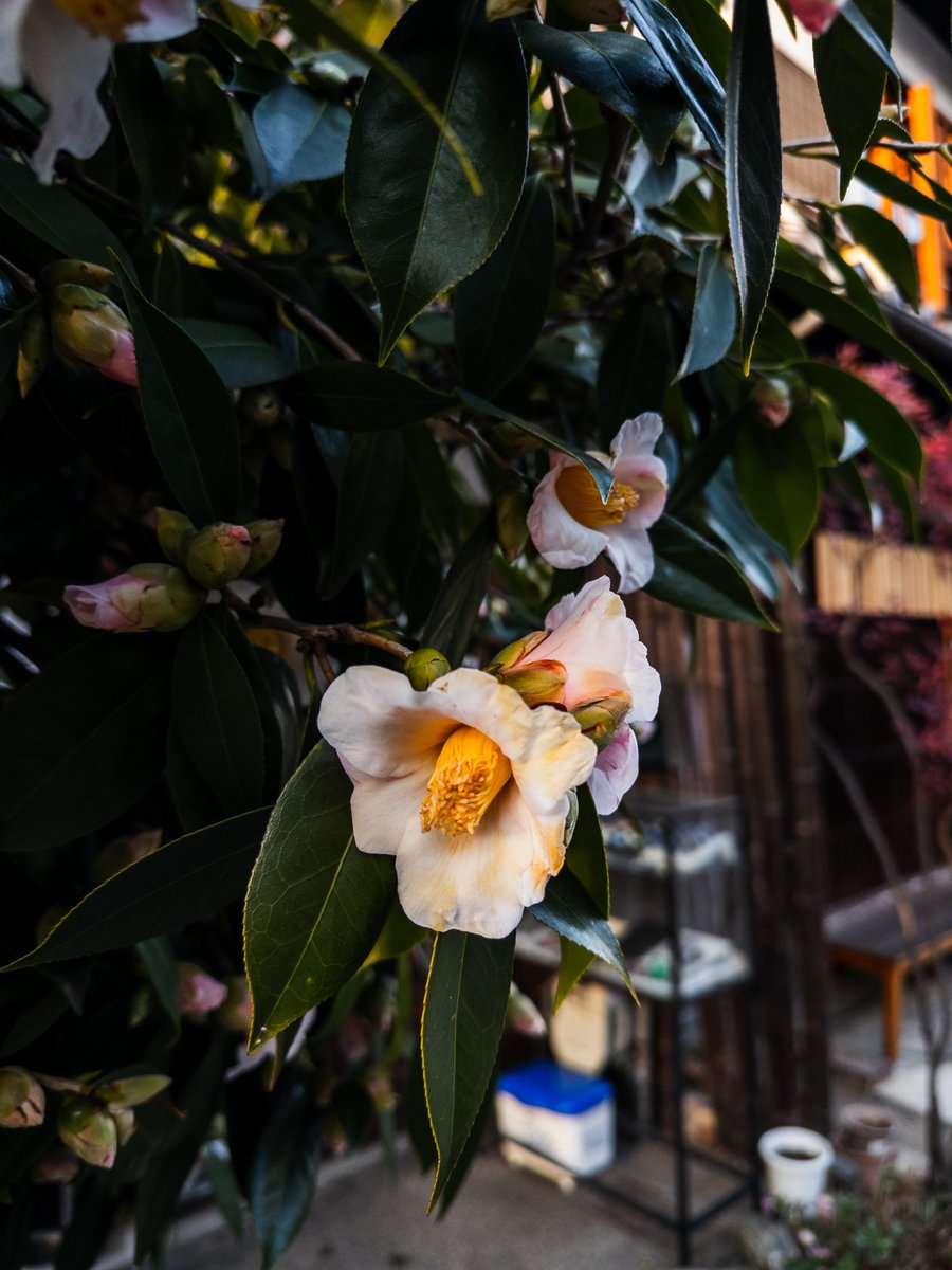 LX (@srgrz6) on Twitter photo 