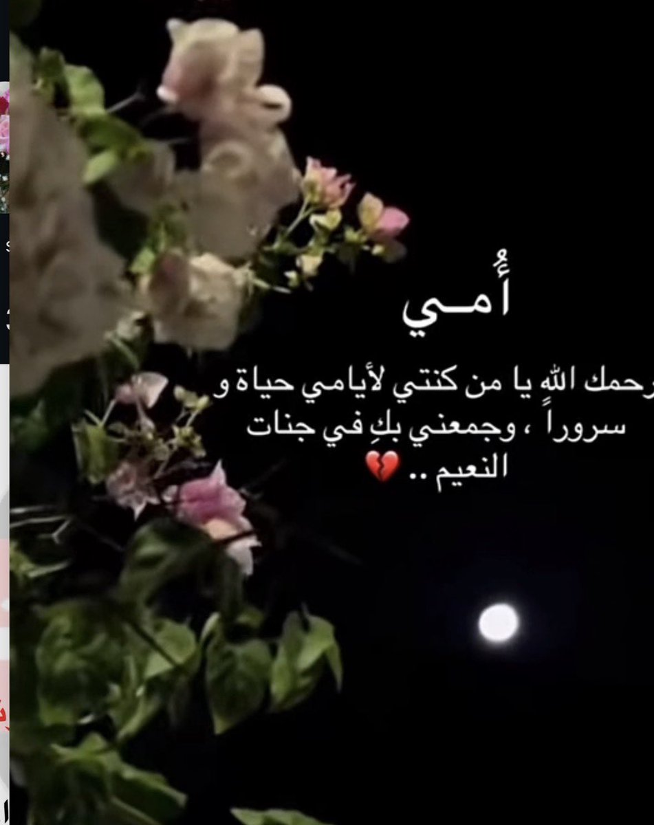 د. وئام المصري tweet media