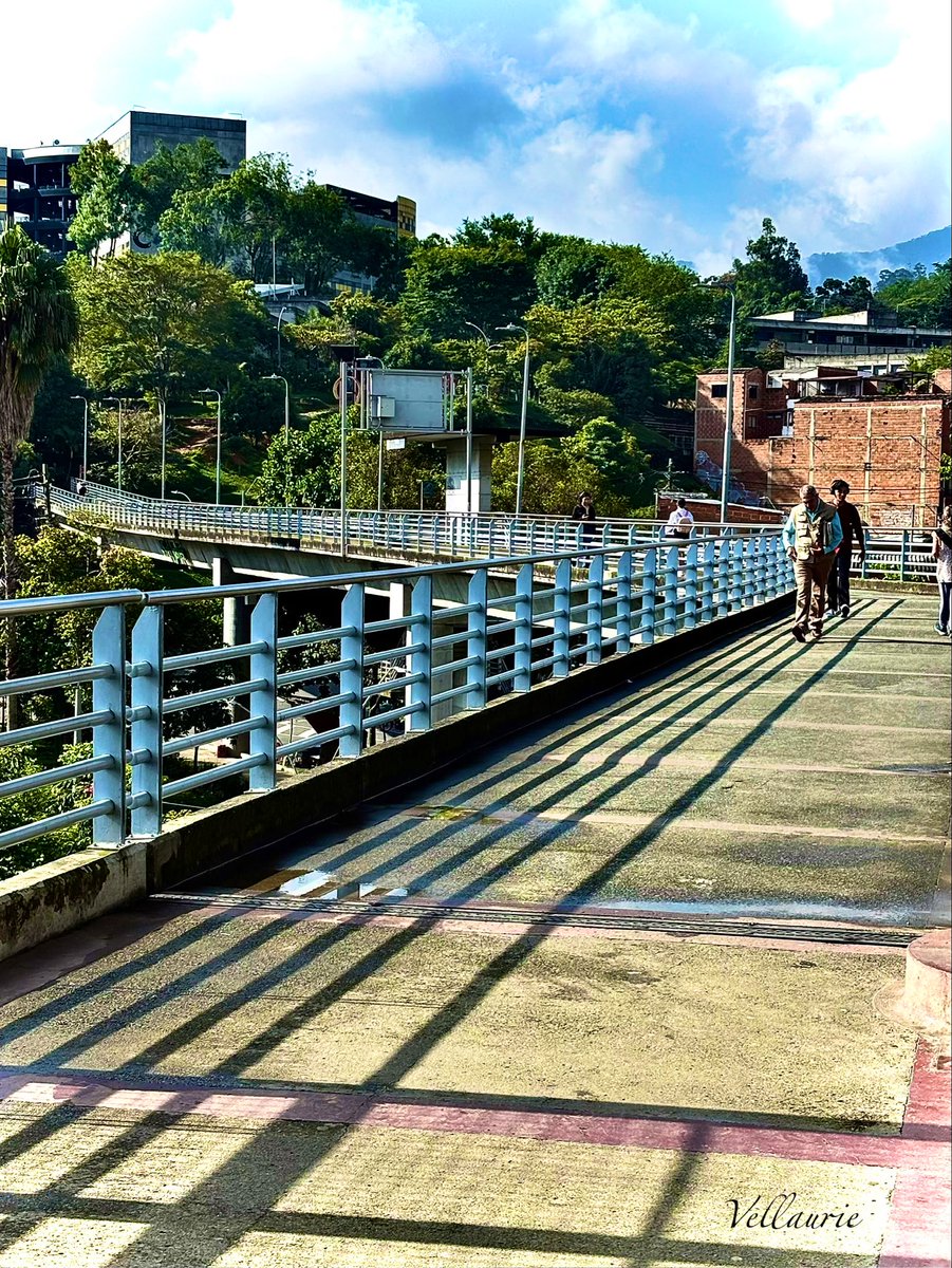 VijayEllaurie's tweet image. Good Afternoon🕊️ #FencePostFriday #fence #bridges #railings #walkway