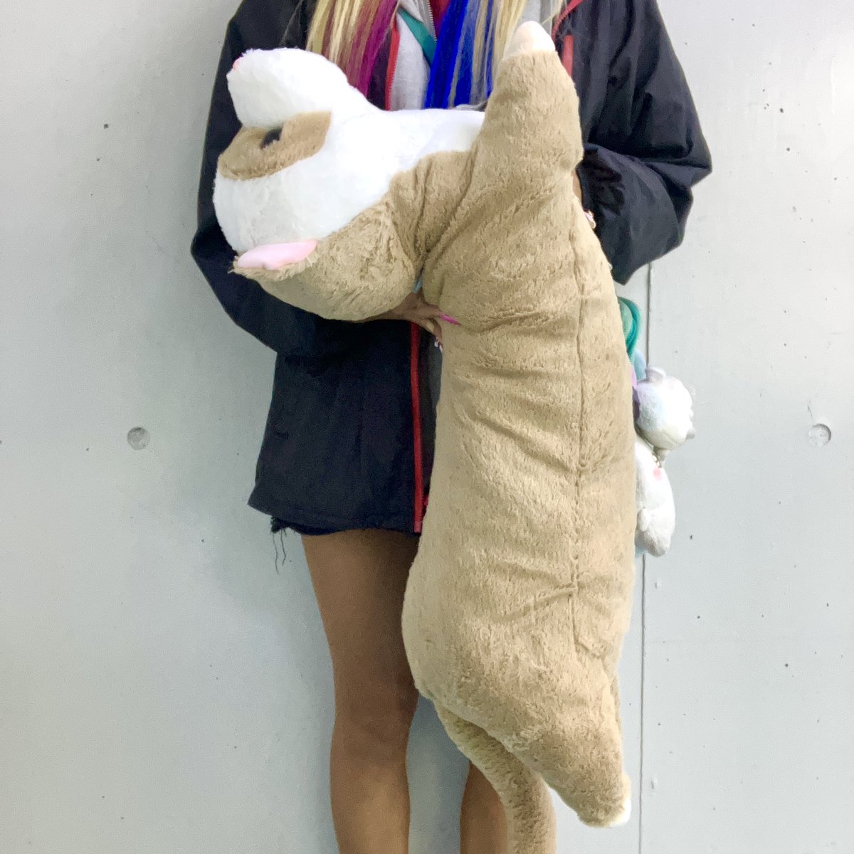 ❣本日の新景品❣ 『くったりロングフェレット』の超超ウルトラBIG