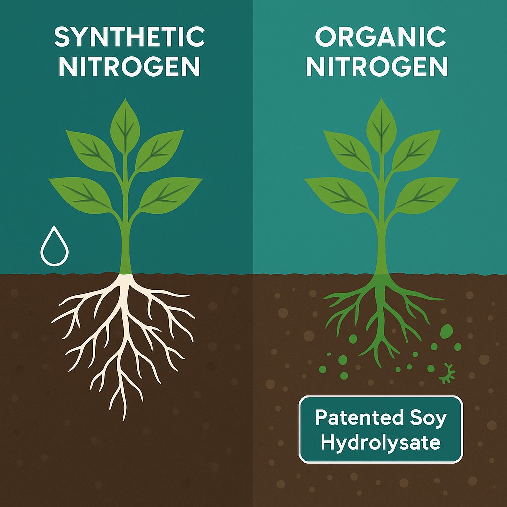 BermanChaz's tweet photo. Short-term fixes fail. 
System-level solutions last.

 #GrowersSecret #SoilHealth #FarmStrong #SustainableFarming #HealthySoilsHealthyFood
https://t.co/8CWPE3uOfT https://t.co/NRiHLWKtSS