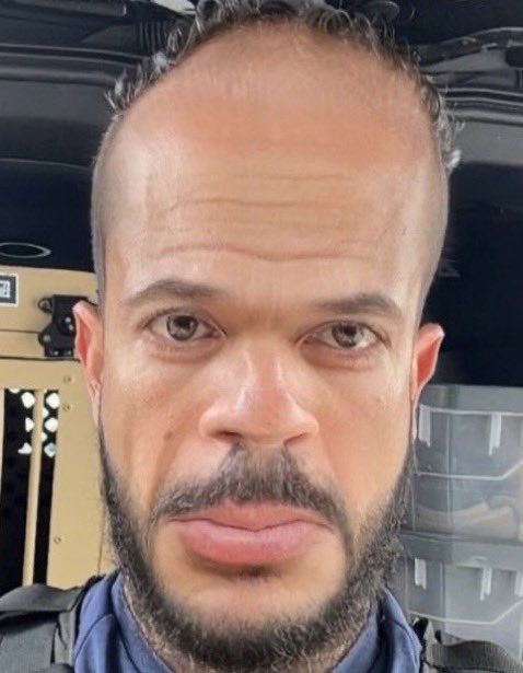 LilithLovett's tweet image. How come they all have this malformed bean shape to their heads?