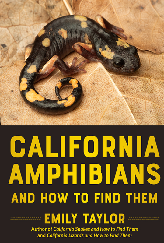 Cal Poly Bailey College of Science and Mathematics tweet media