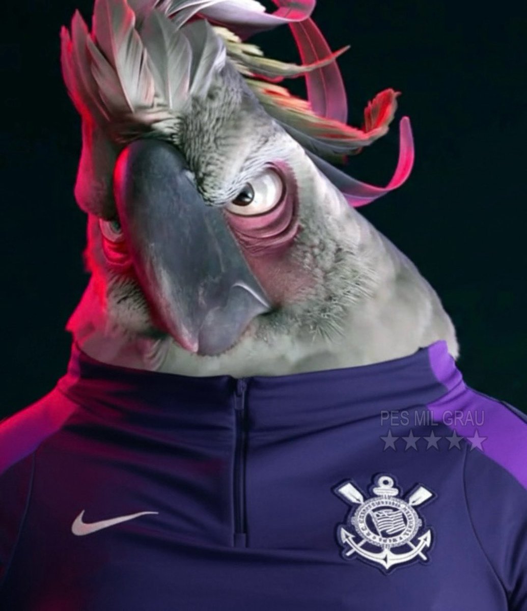 *Rola a bola na final da Supercopa do Brasil*

Filipe Luís e Dorival Jr. na beira do campo: