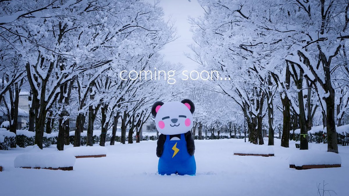 さかいさんだー🐼 (@Sakai_Thunder) / Posts / X