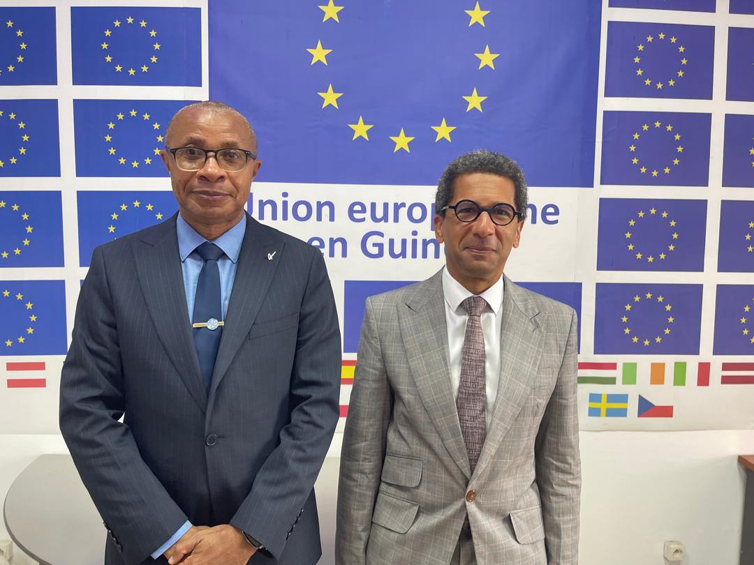 ONU Droits de l'homme Guinée tweet media