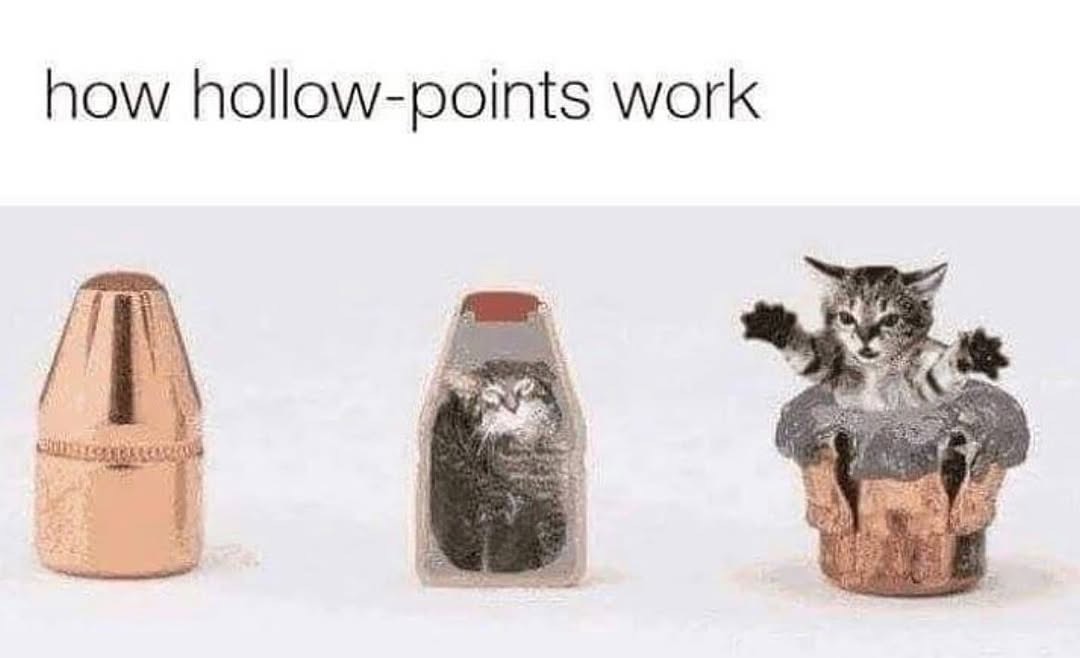 llandoniffirg's tweet image. Nice! 🤣🤣🤣🤣🤣🤣