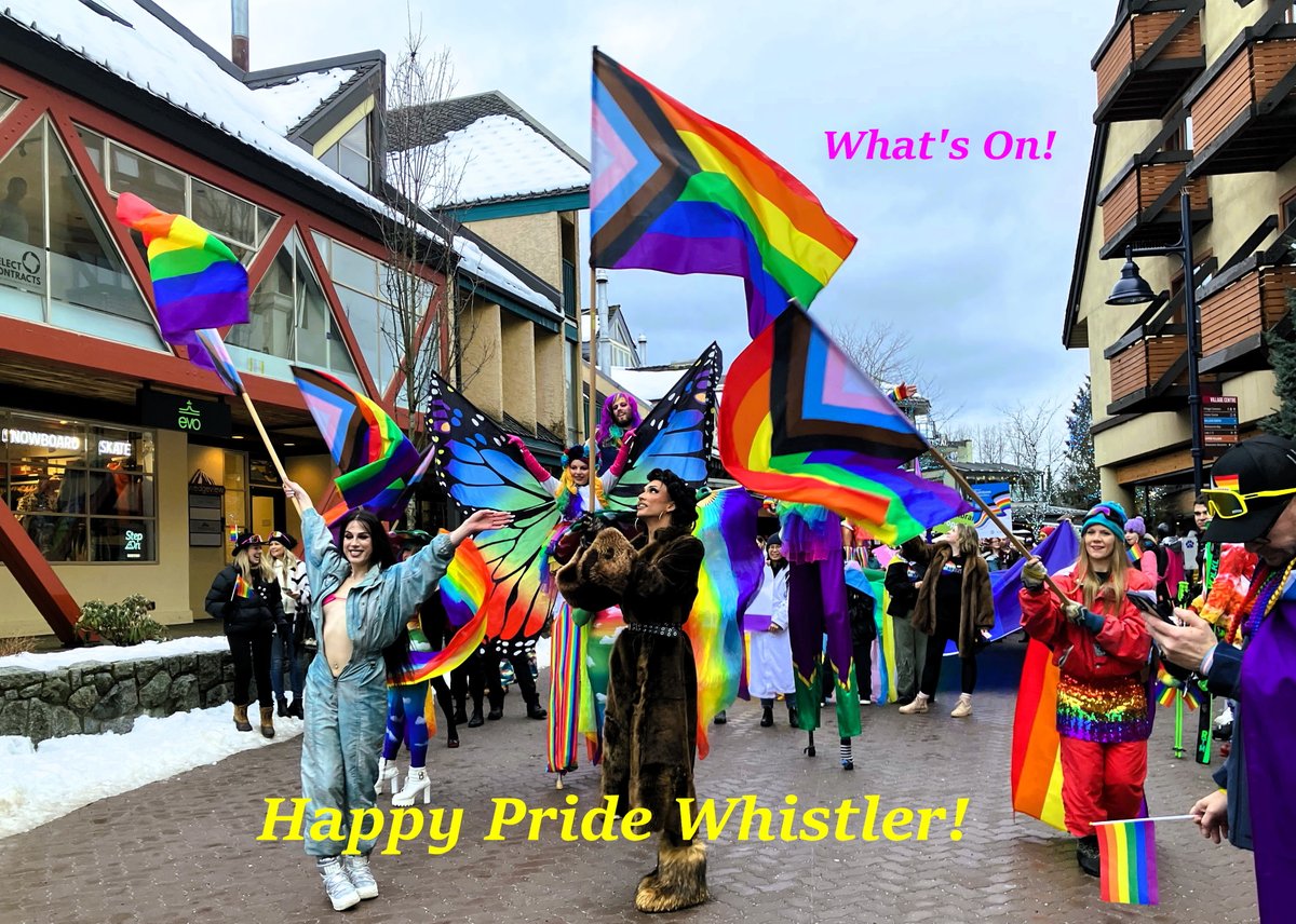 Gayvan.com tweet media