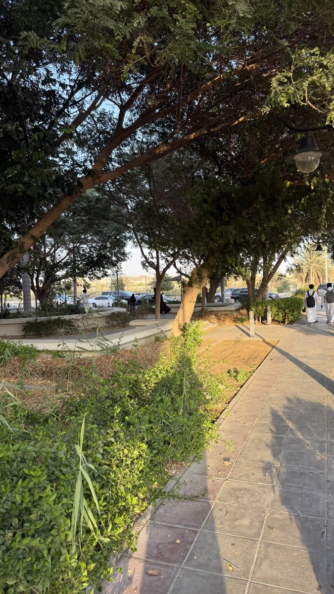 Mohsen AL-Ghamdi tweet media