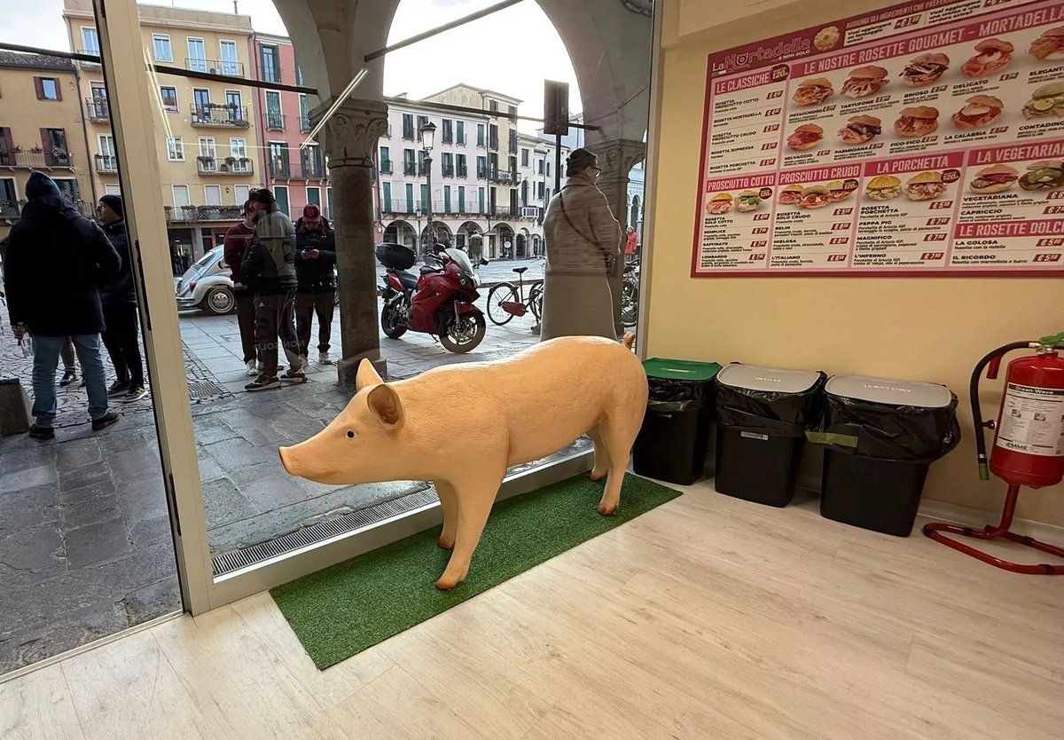 フロリダ (@hurorida) / Posts / X