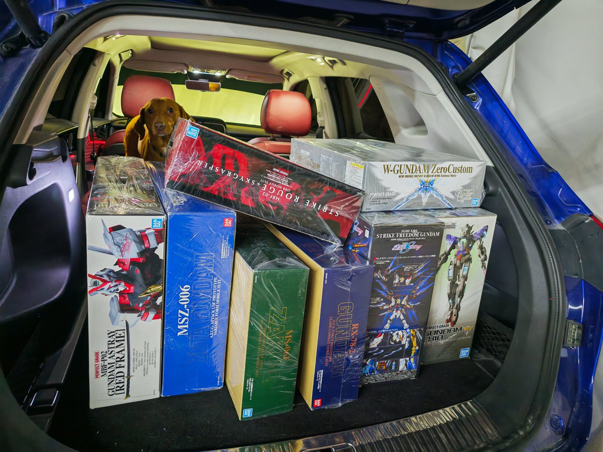 Its_me_G0NZO's tweet photo. Made a huge PG purchase today.  Vlad enjoyed the drive to Dubai as well.  #gundam #PGU #pguνガンダム #perfectgrade #BANDAI https://t.co/XMRQbhvTF8