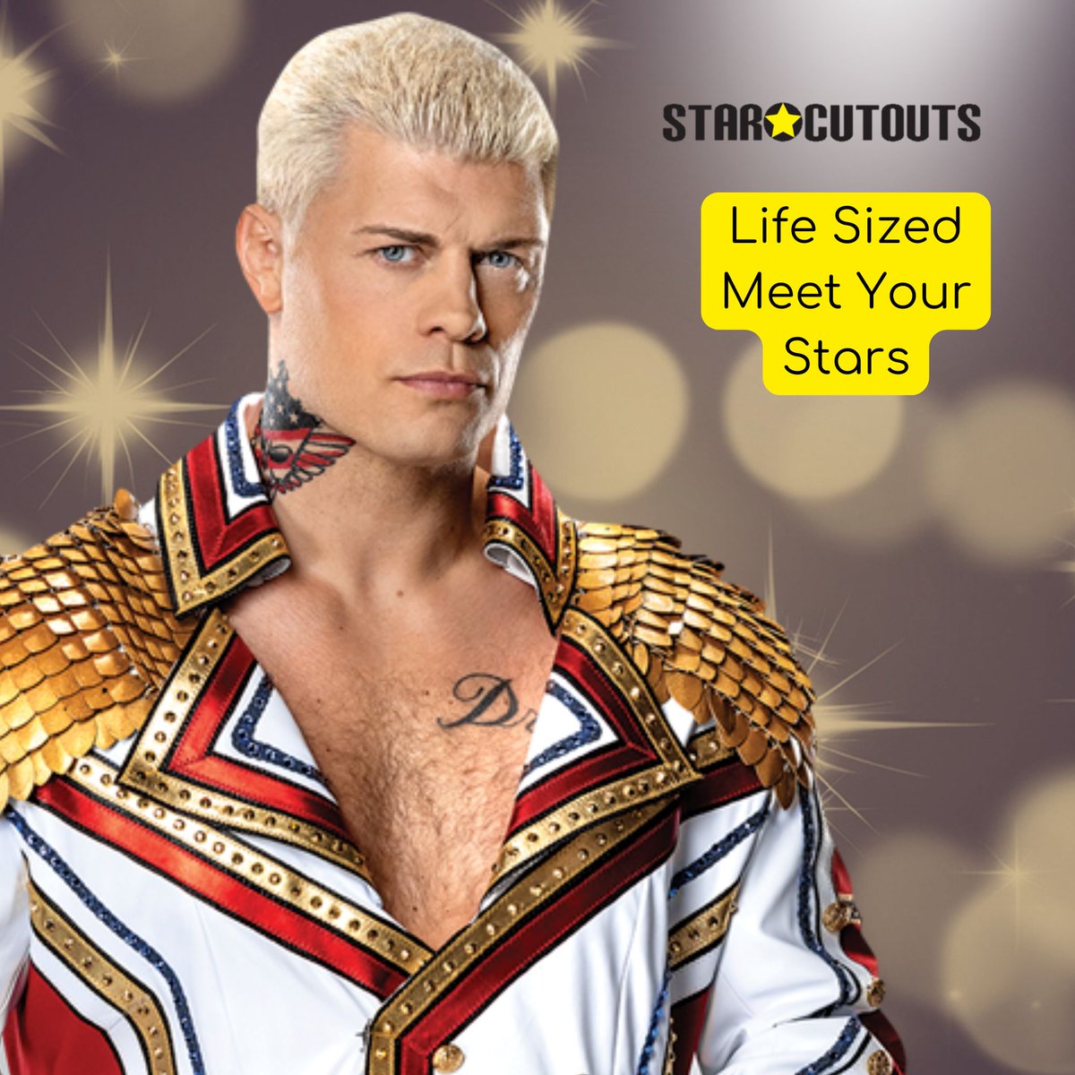 CutoutsStar's tweet photo. what did you make of #RoyalRumble https://t.co/fN84Cb8k6r