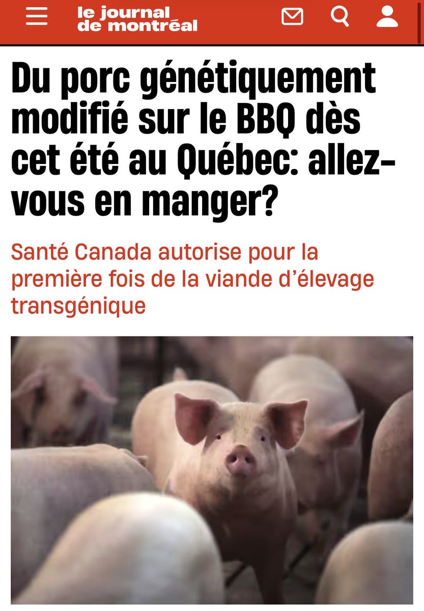 Pat Laliberté - La Tribune du peuple tweet media