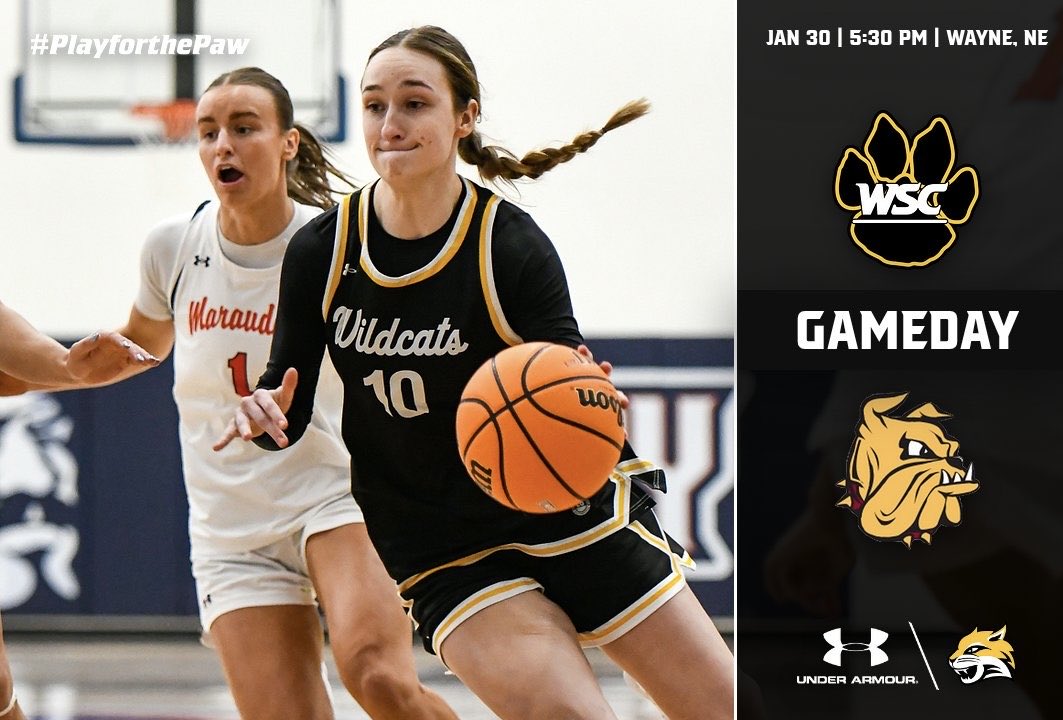 Wayne State WBB tweet media