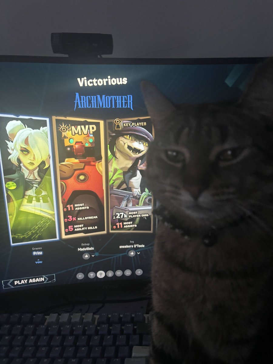 My cat has this habit of jumping on my desk while I play deadlock and covering the minimap completely but I cannot muster the courage to move her