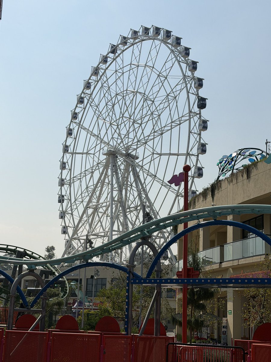 Taylor Bybee tweet media