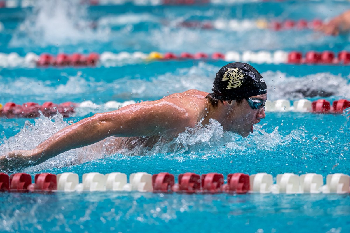 BC Swimming and Diving tweet media