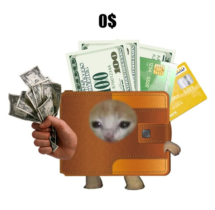 Kit (@kittssn) on Twitter photo 