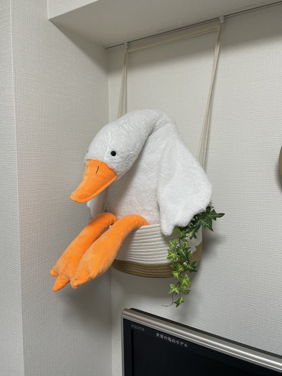 rain.hitujiさん♡ やっと世界がこの可愛さに気付いたか