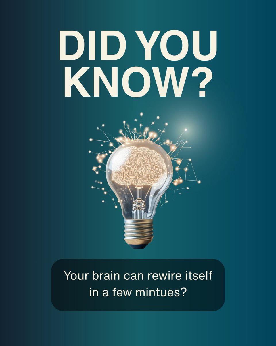 Branch Out Foundation tweet media