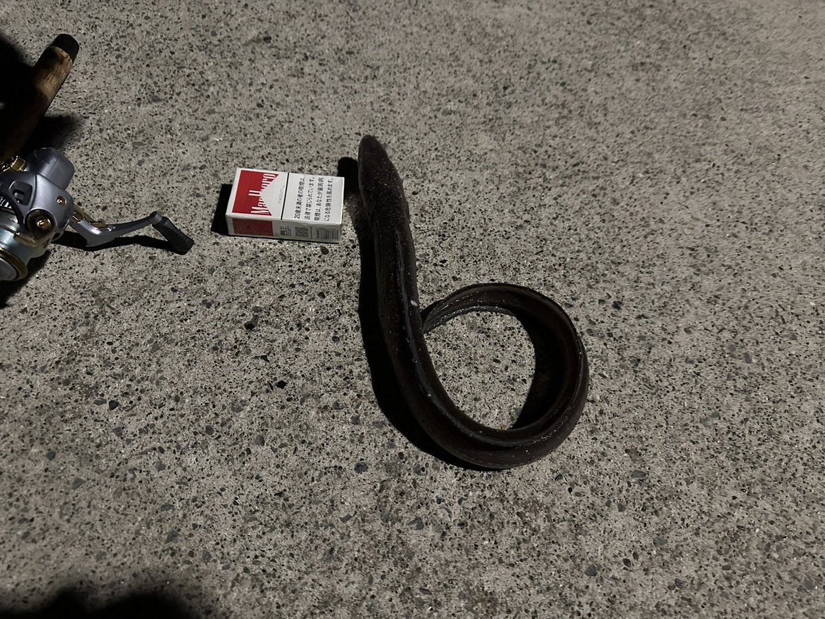 るーしぃ tweet media