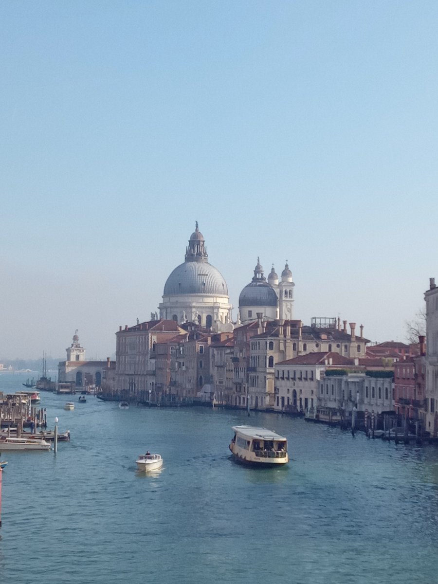 TennisAddict tweet media