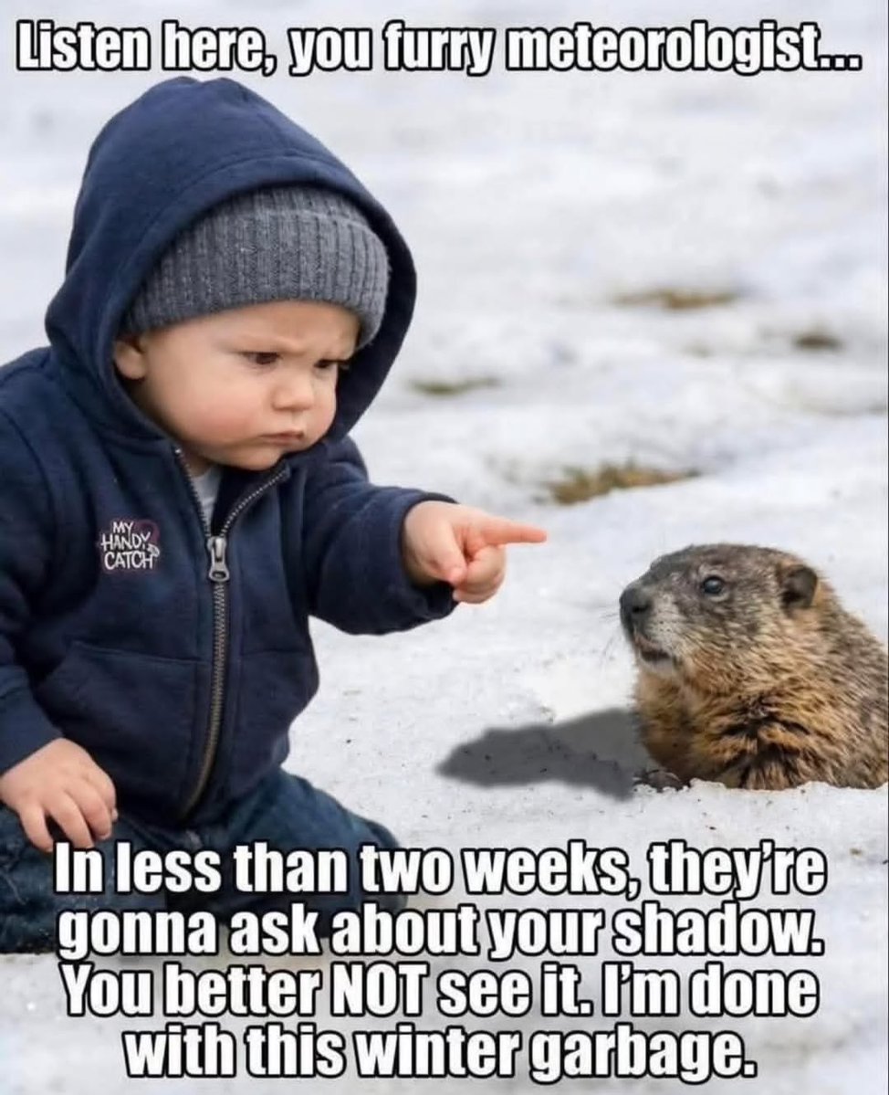 llandoniffirg's tweet image. Yup 100% 🤣🤣🤣🤣🤣🤣🤣