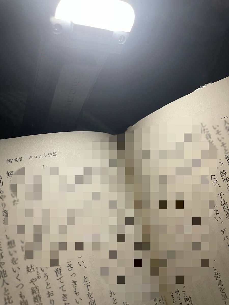 おはようございます☀
朝読書です〜📕💛
今日は、マラソン大会🏃🏻‍♀️💨
緊張もありますが、楽しみたい☺️
気分を落ち着かせる為にも読書📖✨

#今読んでる本 
#読書好きな人と繋がりたい