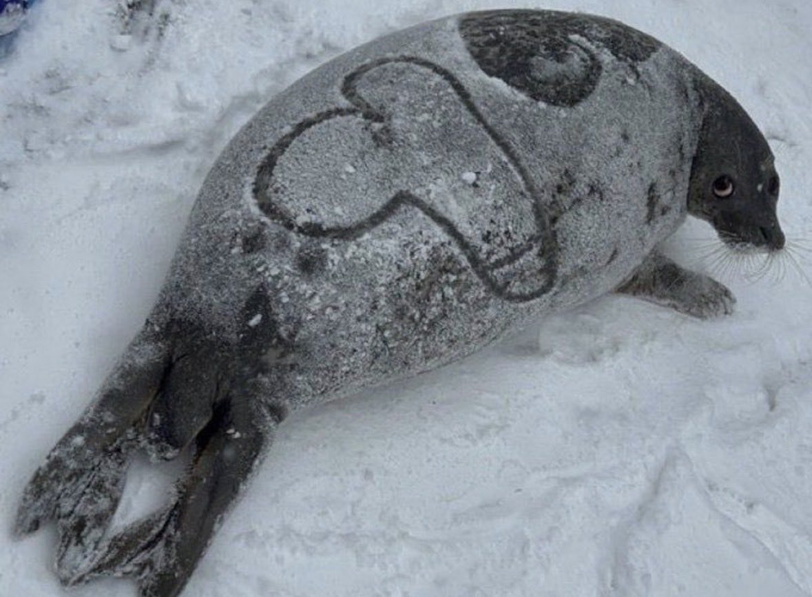 What I do to my jungler when he fail smites baron