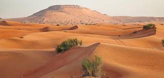 أصل الحكاية tweet media