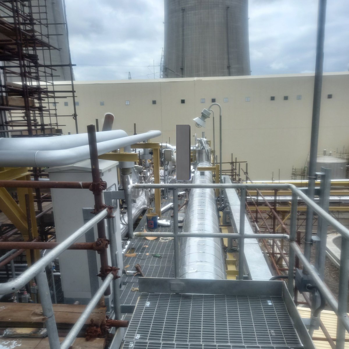 شاهین طیّار tweet media