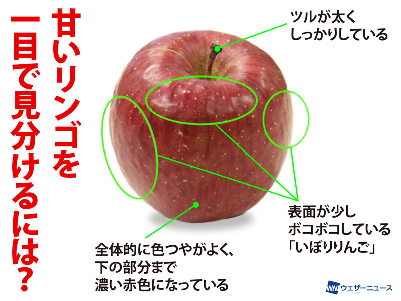 🍎甘いリンゴの見分け方】 冬に食べたい甘〜いリンゴ。店頭に並んだ