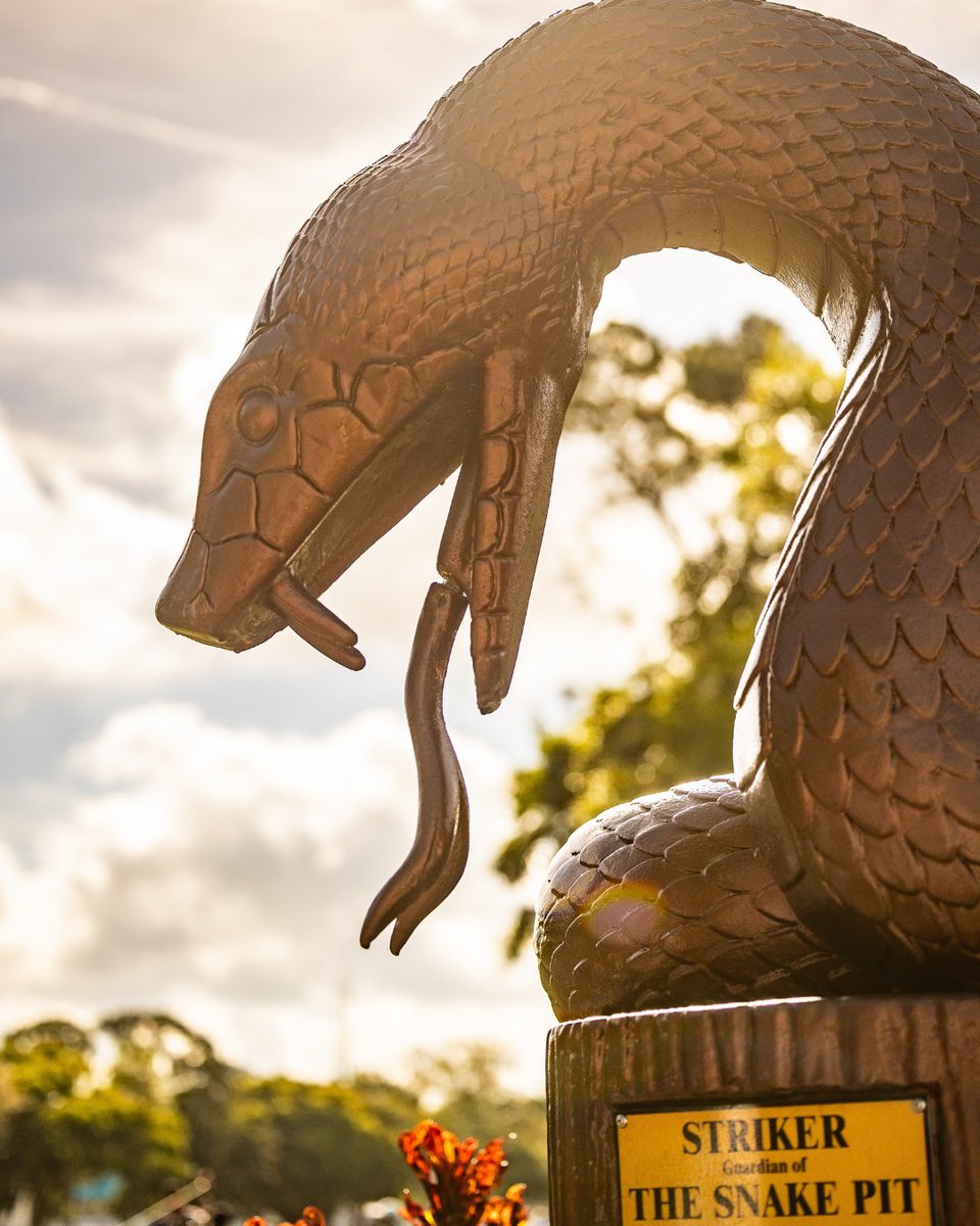 Innisbrook Resort tweet media