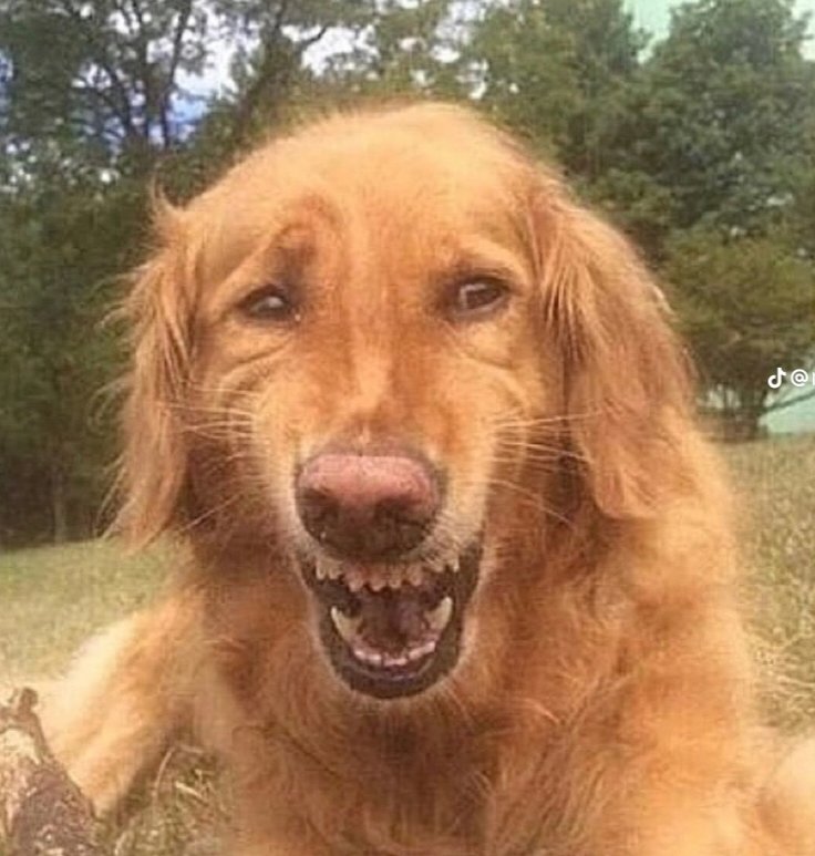 the most annoying thing you can do is send me nine very short text or audio messages instead of one longer one